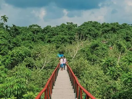 Getting To Know Yourself By Understanding Your Thoughts