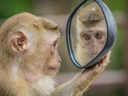 Getting To Know Yourself