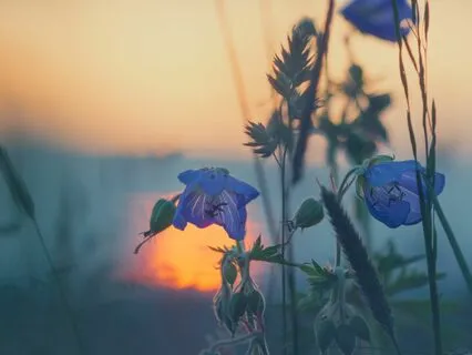 Gift Of Love | Deep Relaxation Music