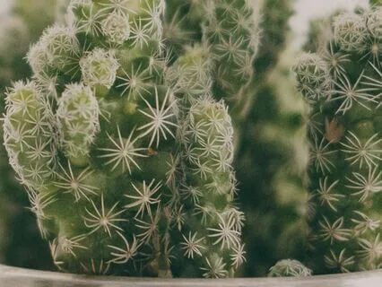 Gifted By God - Scripture Meditation