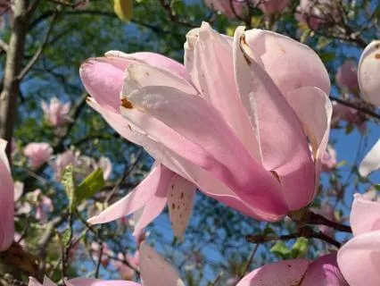 Gifts Of Gifts Chapter 11: Love Cards