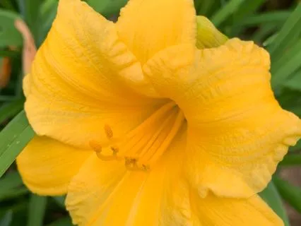 Gifts Of Grief Chapter 4: Green Leaf Harbors