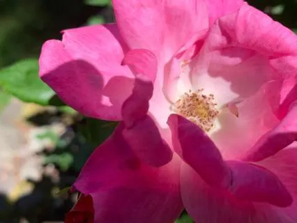 Gifts Of Grief Chapter 6: Cellar Candelight