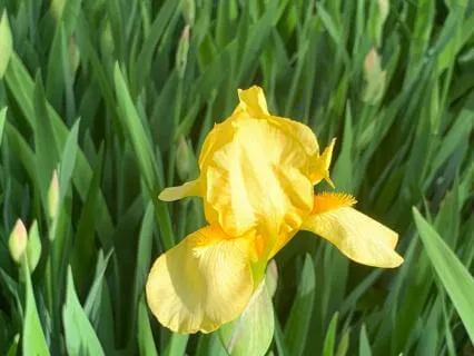 Gifts Of Grief Chapter 8: Natural Stone Couch