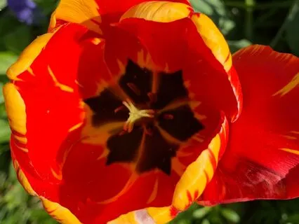 Gifts Of Grief From The Divine Feminine