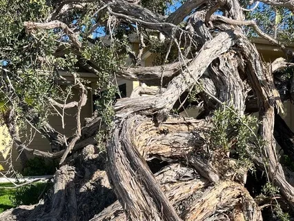 Gitanjali- An Offering Of Poem Songs