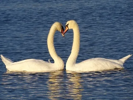 Give Love Gratitude & Compassion to Yourself - 3.17.2021