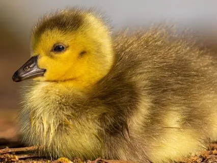 Give Your Body A Reason To Heal: Say Yes To Life!