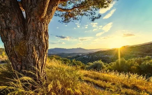 Give Your Mind A Pause From Thinking - Meditation 35