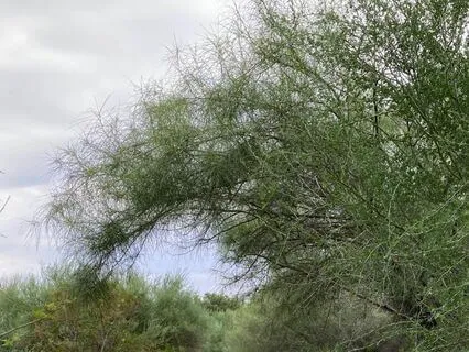 Give Yourself Loving Kindness