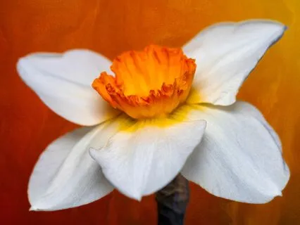 "Give Yourself Permission To Be Happy!"