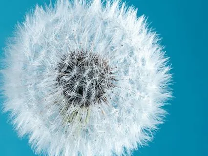 Give Yourself Some Time