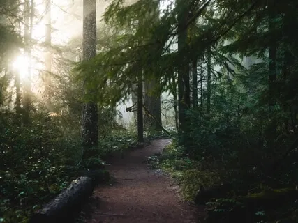 Giving And Receiving_2