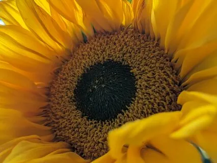 Giving And Receiving Abundance Blessings