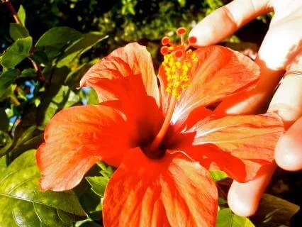 Giving And Receiving Blessings Of Loving-Kindness