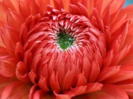 Giving & Receiving Compassion