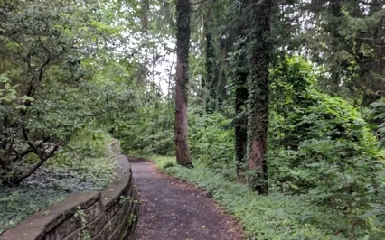 Giving & Receiving Compassion 