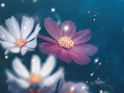 Giving And Receiving Compassion