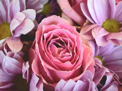 Giving and Receiving Compassion