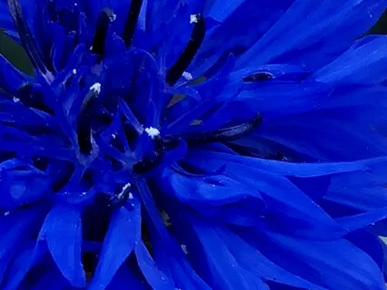 Giving And Receiving Compassion