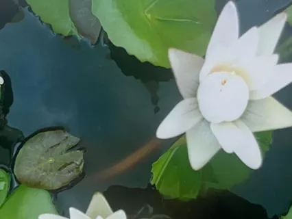 Giving And Receiving Compassion