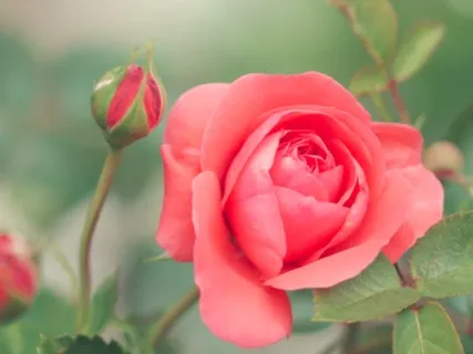 Giving And Receiving Love