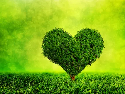 Giving And Receiving Practice