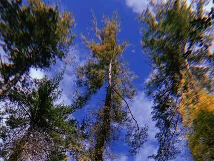 Giving And Receiving Meditation