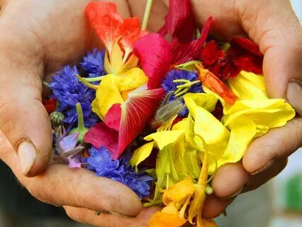 Giving And Receiving: The Heart Of Practice