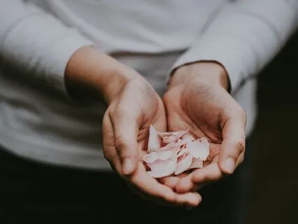 Giving And Receiving, The Wisdom Of The Breath