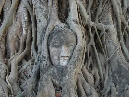 Giving Back To You: Chakra Affirmation Guided Meditation