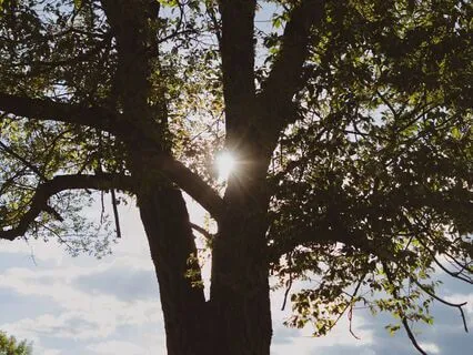 Giving Grace To Your Uniqueness