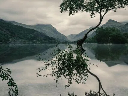 Giving & Receiving Binaural Epsilon