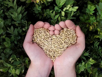 Giving Thanks For The Gifts For God's Great Gifts