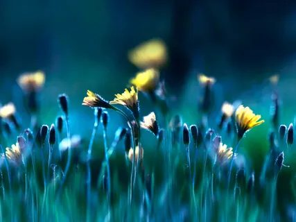 Giving The Gift Of Gratitude To Our Body