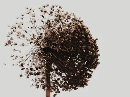 Giving Up (Exercising Divine Laziness, Part 6)