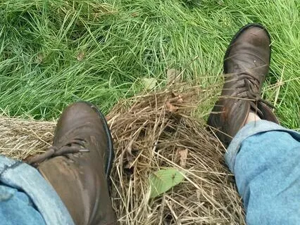 Giving Up Vs Surrender