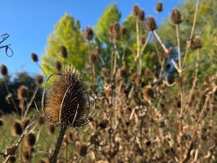 Giving Yourself A Break