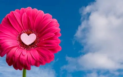 Giving Yourself Love & Care