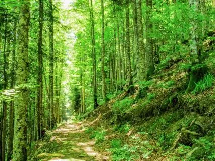 Giving Yourself What You Need In This Moment