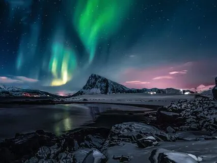 Detoxify, Clear Fear And Connect With Polar Bear Medicine