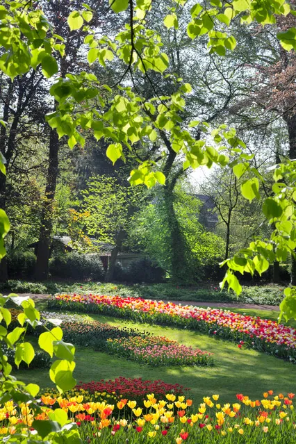 Glæde, Lys og Kærlighed på din vej