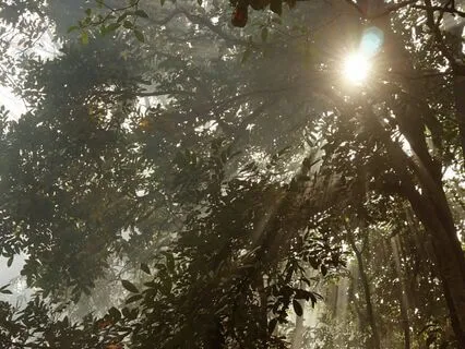 Glimmers - Letting The Light In