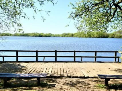 Glittering Lake Deep Sleep Healing Frequencies