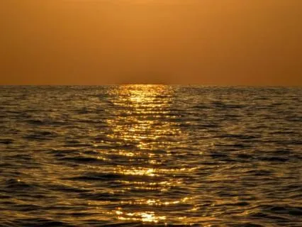 Global Healing Meditation