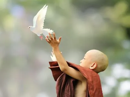 Global Loving Kindness Meditation, World Vibration Raising