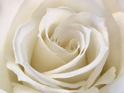 Global Peace Invocation