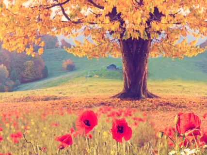 Global Peace Meditation