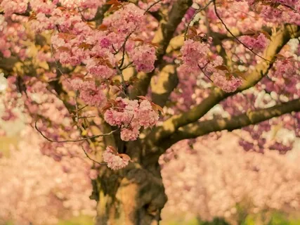 Glory In Her Mind: 10 Minutes Of Meditative Bliss 