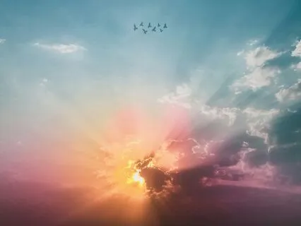 Glory In The Morning